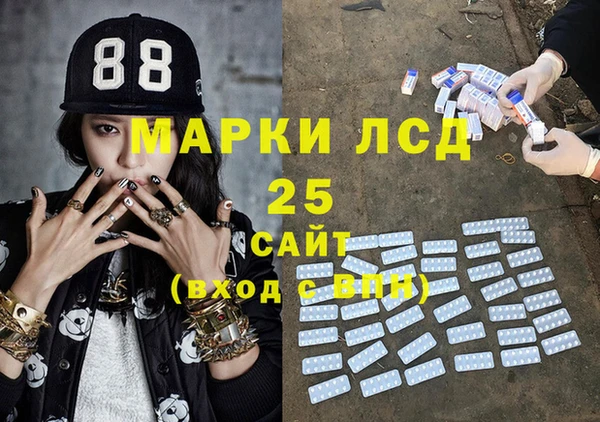 прущий лед Бородино