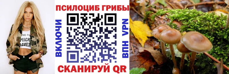 Галлюциногенные грибы GOLDEN TEACHER  купить наркотики сайты  Туапсе 
